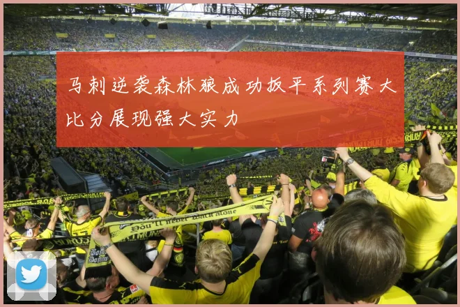 马刺逆袭森林狼成功扳平系列赛大比分展现强大实力